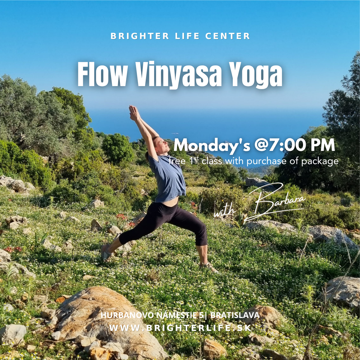 Vinyasa Flow Yoga