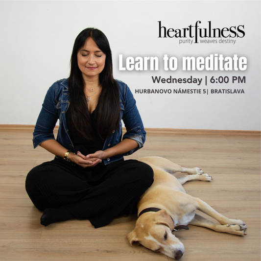 Heartfulness Meditation English &amp; SK,