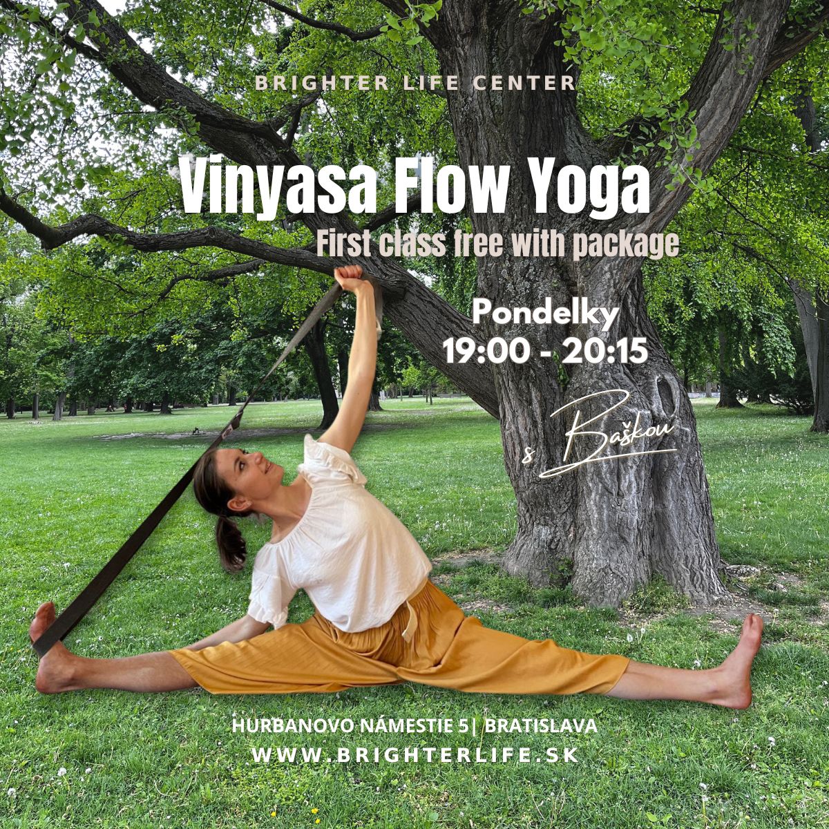 Vinyasa Flow Yoga
