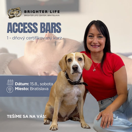 Access Bars 1 - dňový certifikovaný kurz